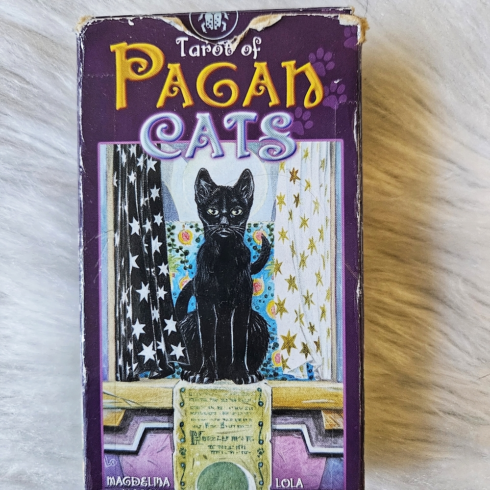 Tarot Reading! 🔮 - Picture 5 of 15